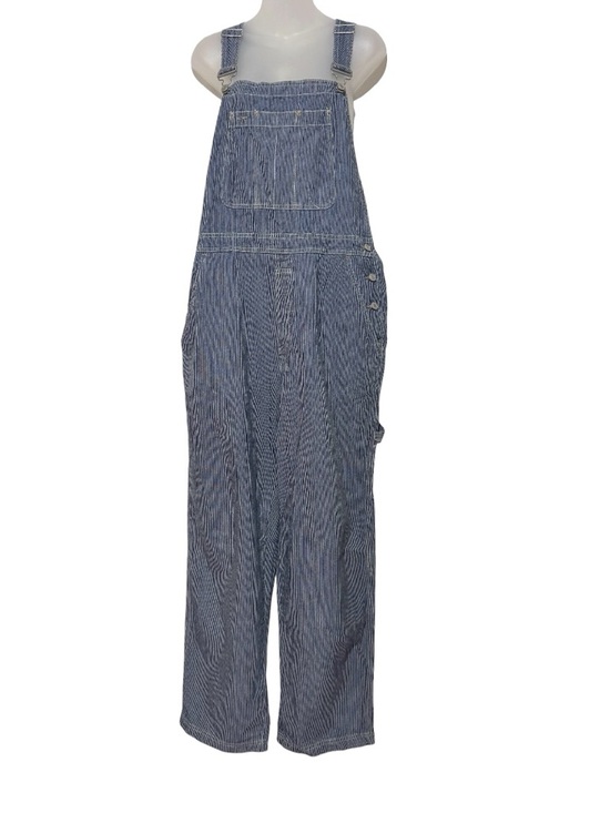 GAP Denim - GAP Striped Blue Women’s Overalls